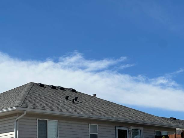 Best Storm Damage Roof Repair  in Crossett, AR